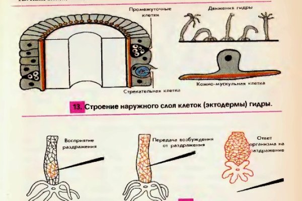 Кракен маркет это